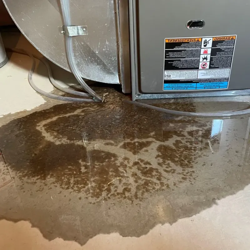 Pipe Burst and Leak Restoration in Danville, VA