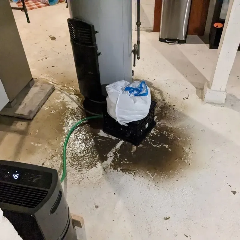 Sewage Backup Cleanup Service in Danville, VA